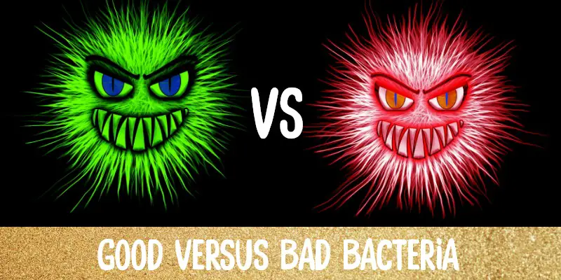 good and bad bacteria