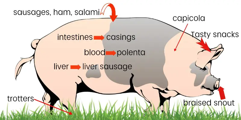 Parts of the pig to eat