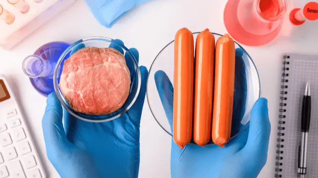 technician checking the quality of sausage and other meats in a lab
